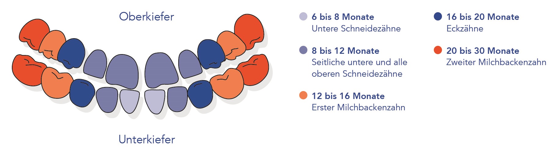 Kinderzahngesundheit
